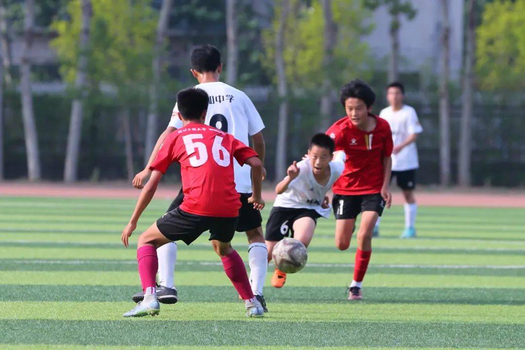 了商业回报 了商业回报