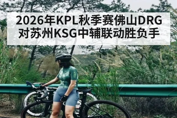 2026年KPL秋季赛佛山DRG对苏州KSG中辅联动胜负手